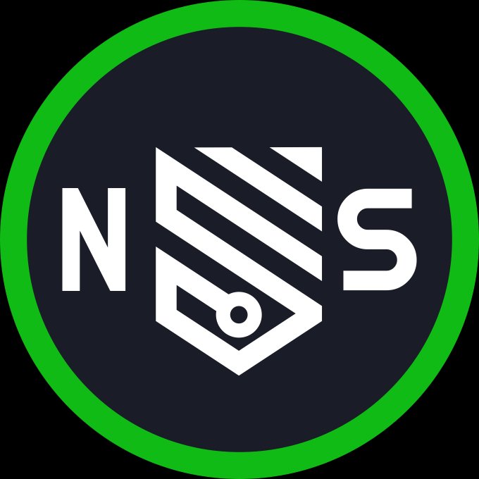 Network Security Logo